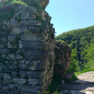 Раннее бронирование в пансионат «Колхида», Абхазия